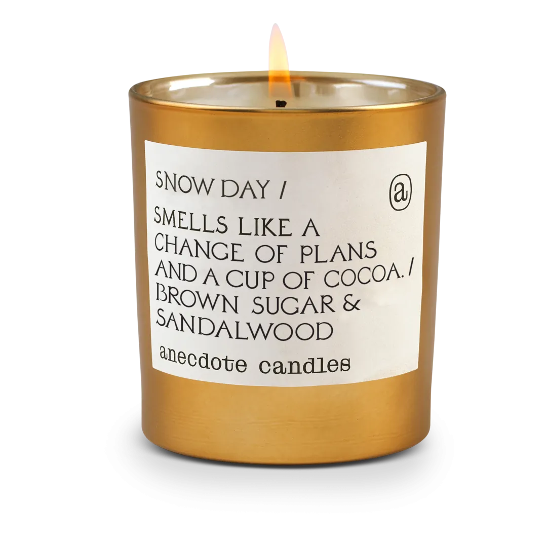 Holiday Anecdote Coconut Soy Wax Candle